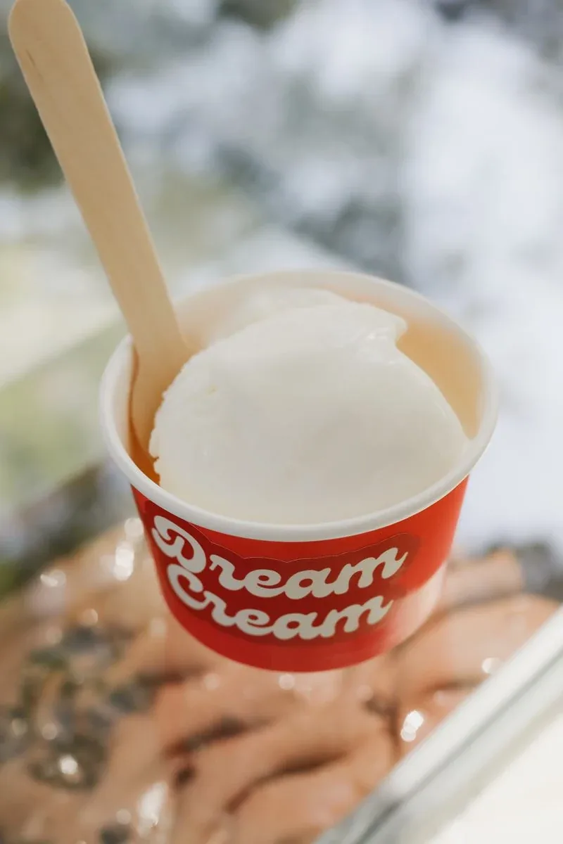 Close-up of a scoop of gelato in a Dream Cream cup